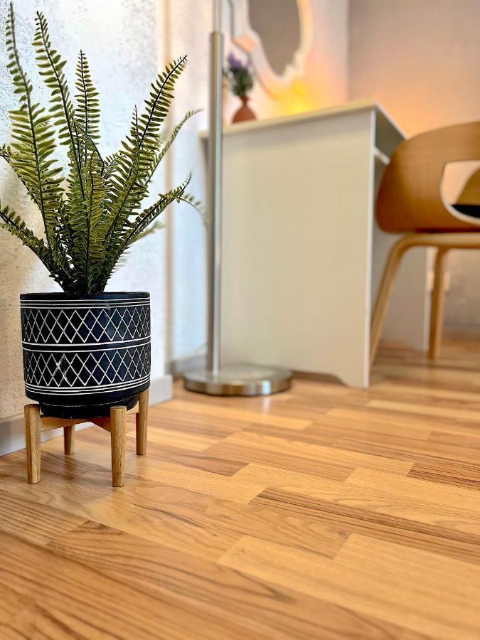 Elbling Apartment Mit Terrasse - Netflix - Parkplatz - Weinbergblick Майсен Екстериор снимка