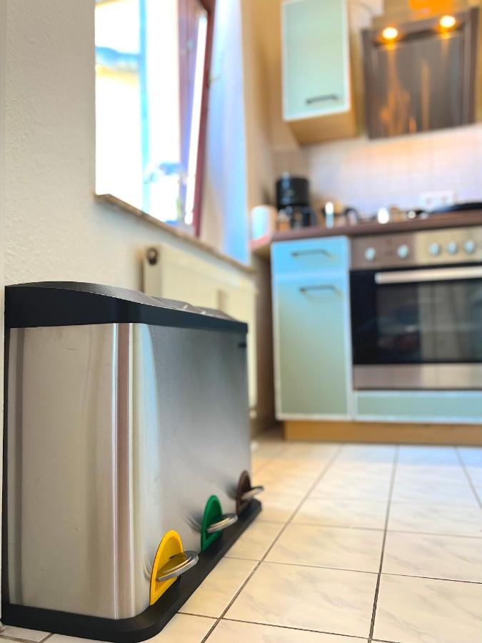 Elbling Apartment Mit Terrasse - Netflix - Parkplatz - Weinbergblick Майсен Екстериор снимка